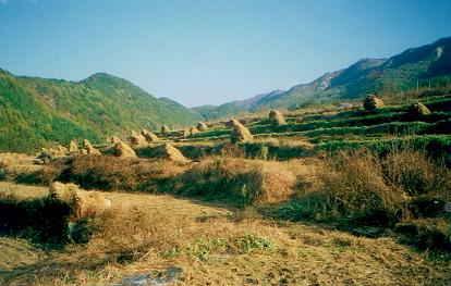 ����ũ��� ����